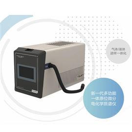PM-DEMS微分电化学质谱仪