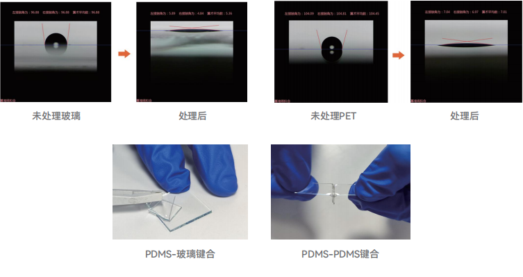 等离子体清洗机PV4C